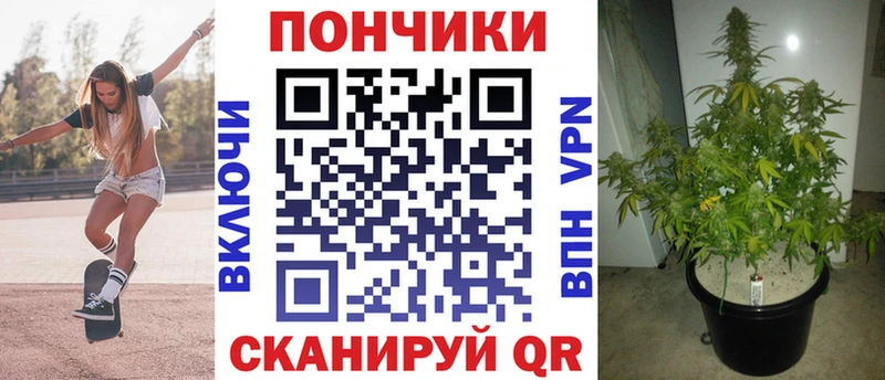 Наркошоп купить APVP  АМФЕТАМИН  Гашиш  Марихуана  Меф  Александровск