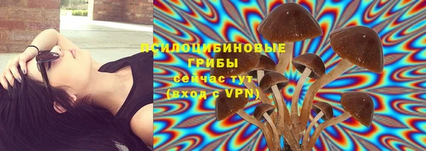 ALPHA PVP Елабуга