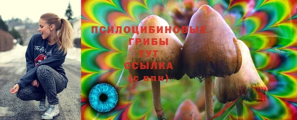 ALPHA PVP Елабуга