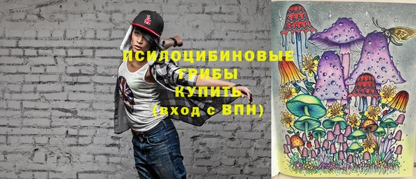 синтетический гашиш Елизово